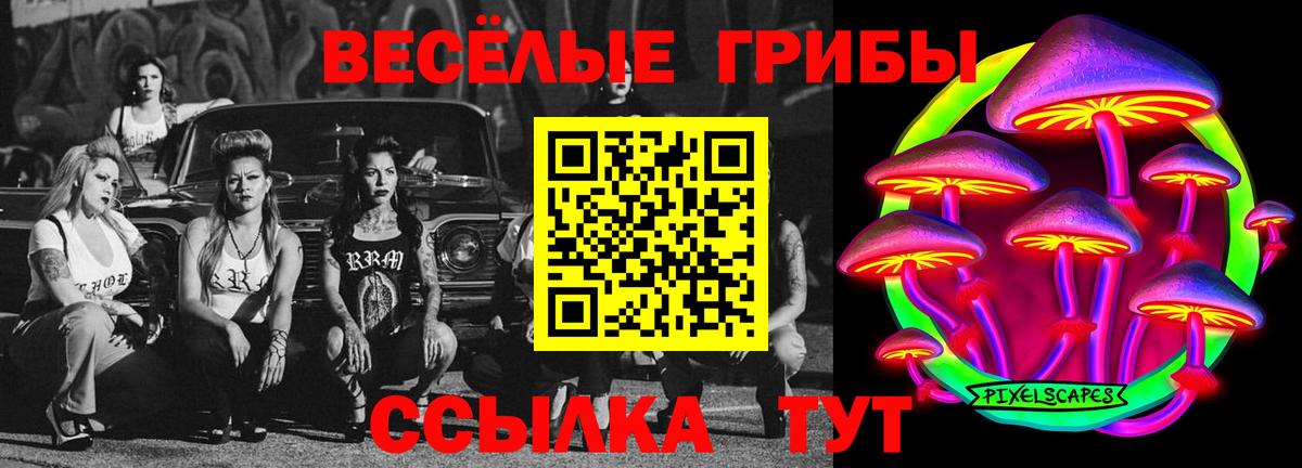 Псилоцибиновые грибы Psilocybine cubensis  Вход с VPN  Алексин  Псилоцибиновые грибы GOLDEN TEACHER 